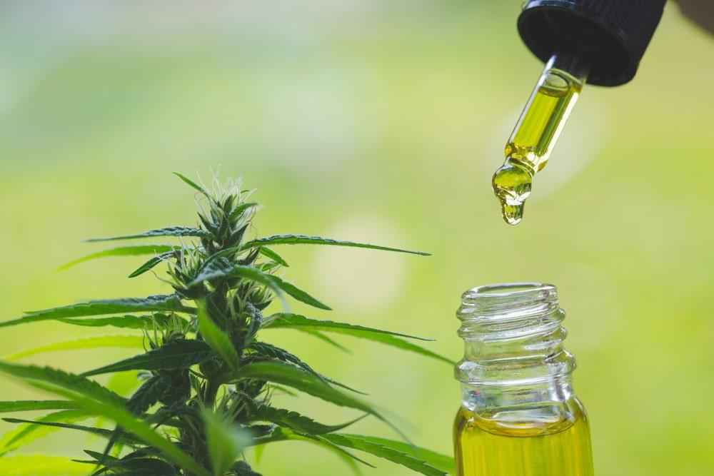 Aceite de CBD y su éxito en EE.UU.