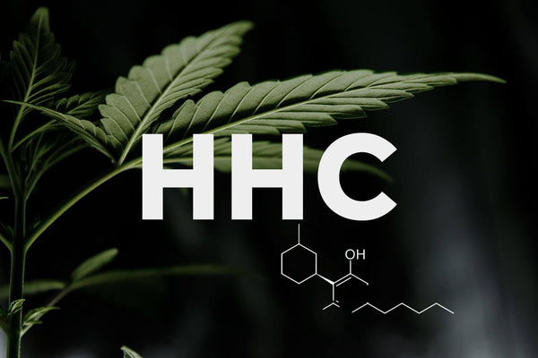 Qué es el HHC y por qué no lo recomendamos…de momento - The CBD Powers - La Madrizleña