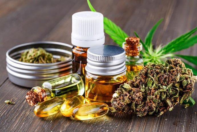¿ES SEGURO Y EFECTIVO EL USO Y CONSUMO DE CBD?