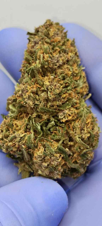 pack flores cbd BARRIOS para profesionales