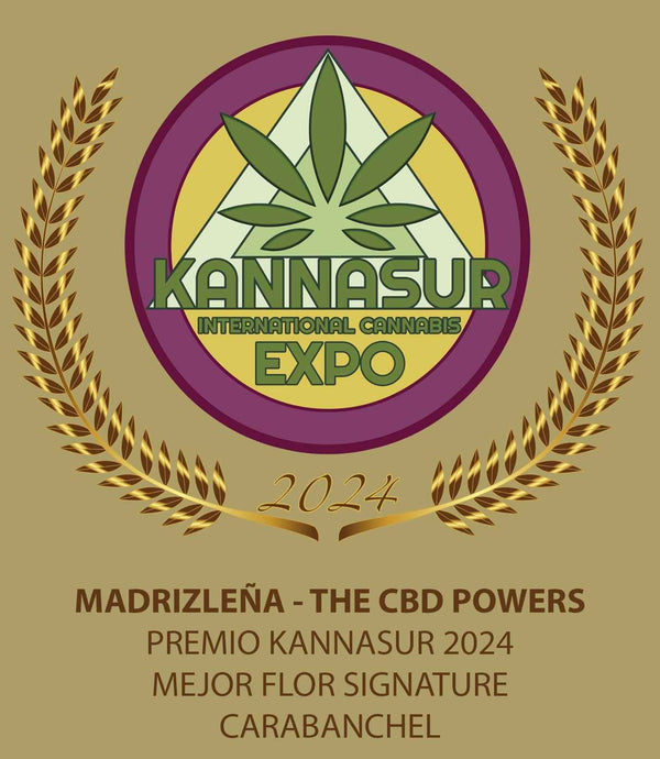 5 GR CRITICAL KARABANCHEL 
(Ganadora produccion propia)
