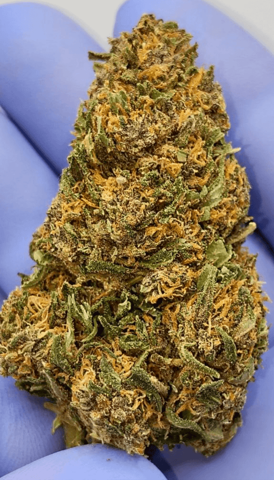 Cheese cbd / cbd gratis