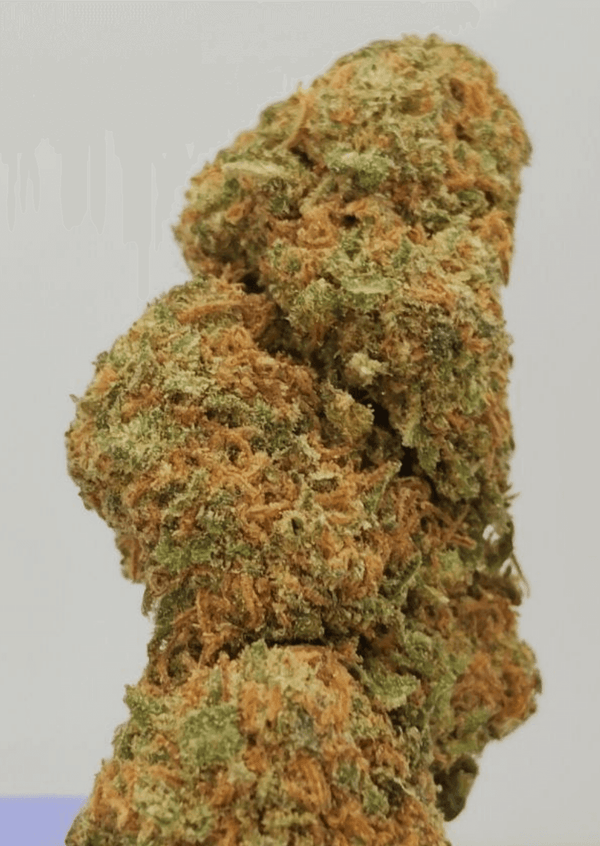 bananna og  amnesia cbd gratis