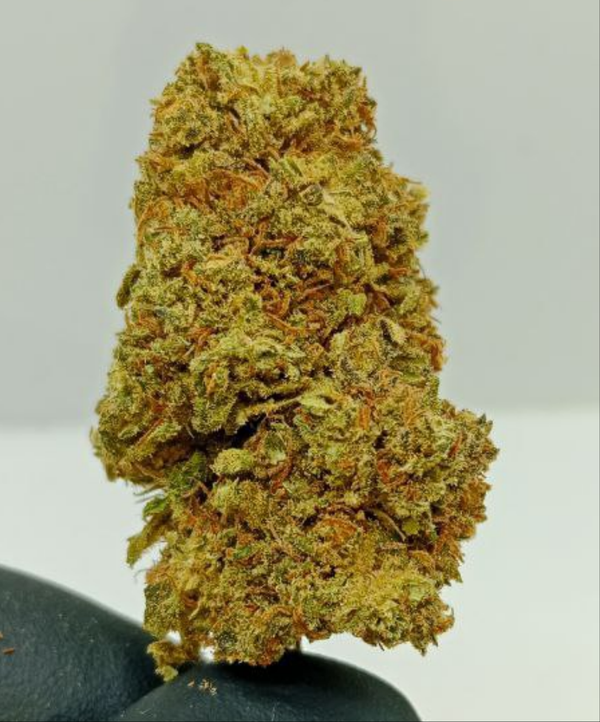 nebula cbd mas cbd gratis