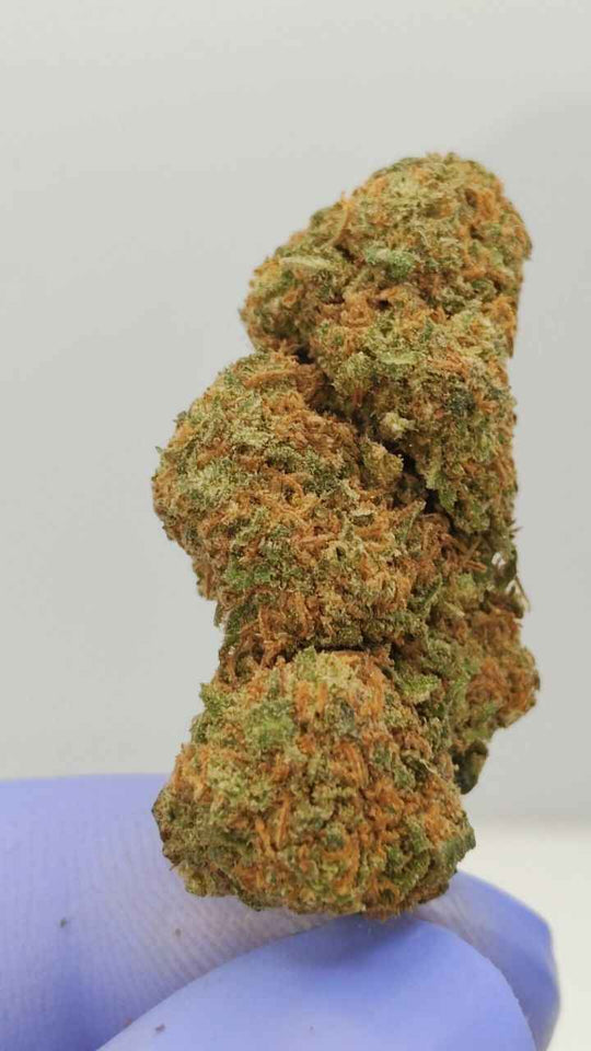 pack flores cbd BARRIOS para profesionales