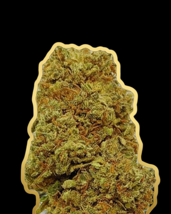 Flores cbd baratas thecbdpowers.shop 