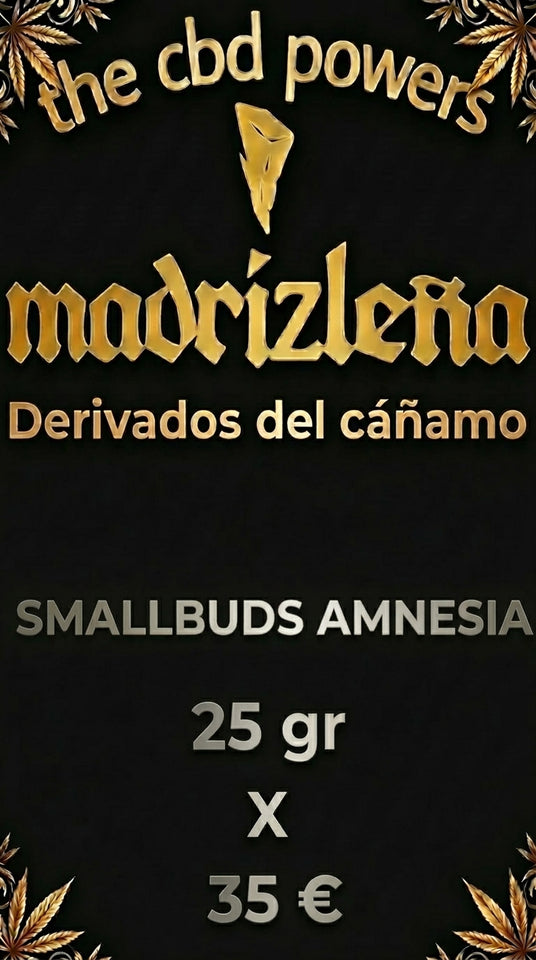 SMALLBUDS AMNESIA