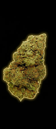 BUBBLE cbd madrizleña 