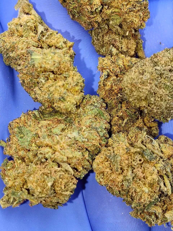 Remedy kush cbd pack