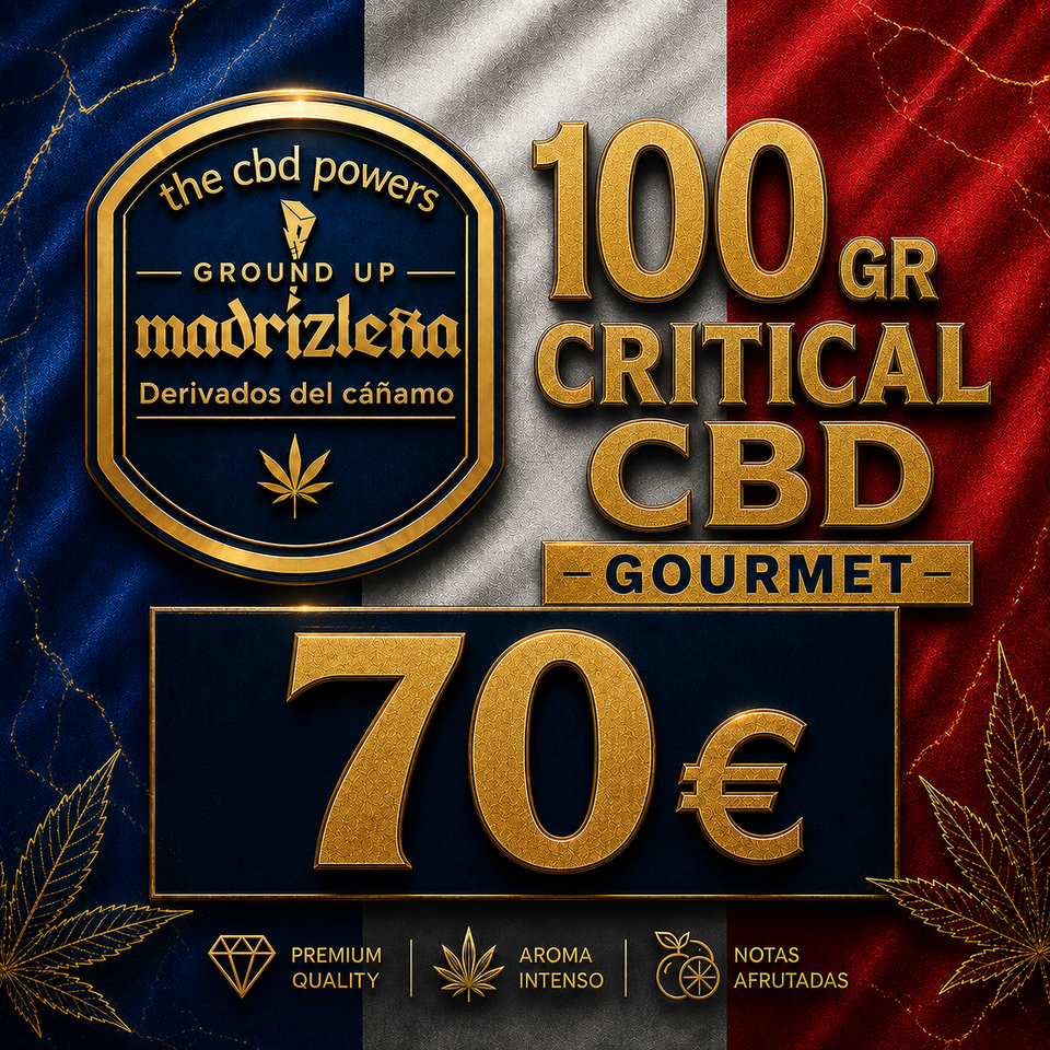 CRITICAL + CBD
