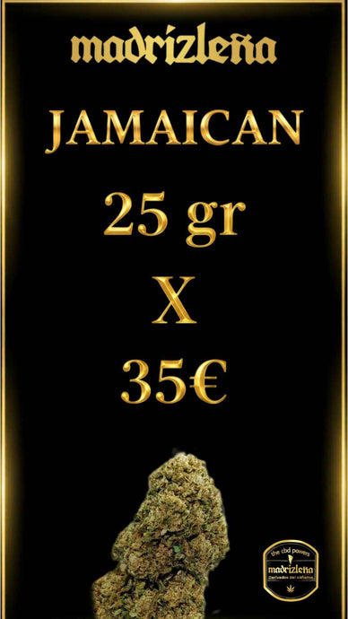 JAMAICAN DREAMS CBD DE CALIDAD