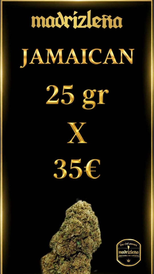 JAMAICAN DREAMS CBD DE CALIDAD