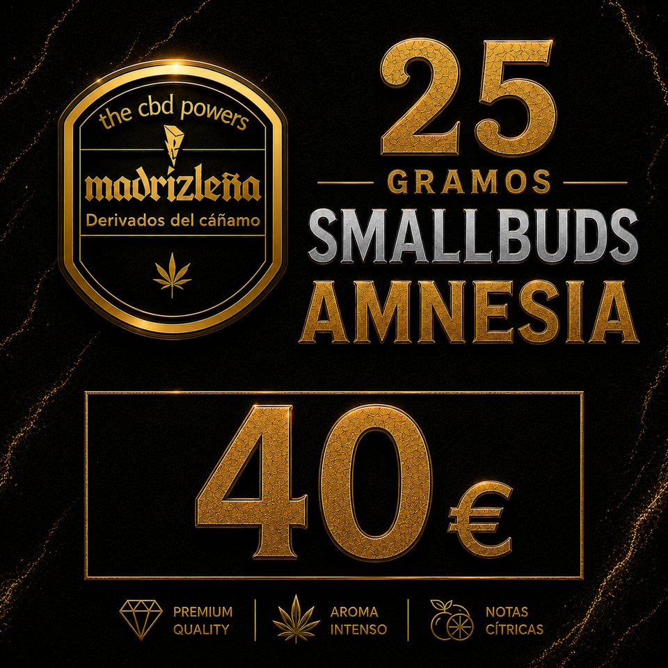 SMALLBUDS AMNESIA