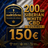 Siberian white cbd
